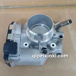 現(xiàn)代悅動(dòng)-瑞納節(jié)氣門