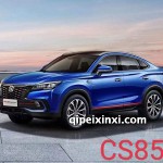 CS85