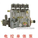 電控單體泵