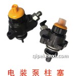 電裝泵柱塞