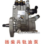 揚(yáng)柴共軌油泵