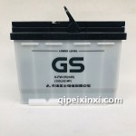 6-FW-55(345)蓄電池