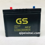 6-QW-60(450)電池
