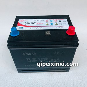6-QW-55（550）蓄电池