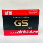 6-QW-55(500)蓄電池