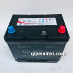蓄電池6-QW-60（500）