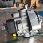 國(guó)產(chǎn)康明斯配件