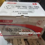 6-QW-71min(420)駱駝蓄電池
