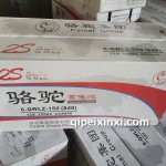 6-QWLZ-150(840)駱駝電瓶