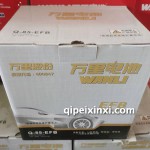Q-85-EFB萬里蓄電池