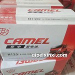 6-QW-200min（760）蓄电池