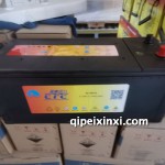 6-QWLZ-180D（850）蓄電池