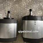 01174120 01175656齒輪泵