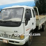 北京威龍貨車