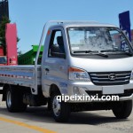 豹汽車快運豹 1031