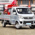 神骐T10 EV