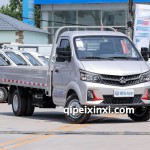 長(zhǎng)安跨越跨越王X7