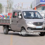 長(zhǎng)安新豹T3