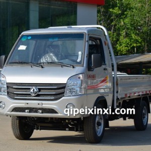 东风小霸王V载货车 东风小霸王V载货车