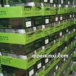 保勝蓄電池