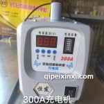 300A充電機