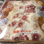 加厚加熱小方墊