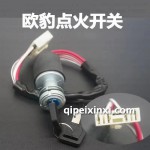 歐豹點火開關