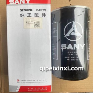 D06系列 机油滤清器滤芯D06S2T1.6.6-2 物料号60307176