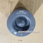 D07活塞D07C4.2.5-1A 物料號(hào)13731626