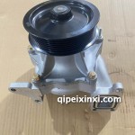 D09水泵D09C6T3A 物料號160201000009A