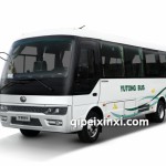 D6E(ZK6602BEV)，車輛用途：企事業(yè)通勤客車、客運客車、旅游客車、公交客車