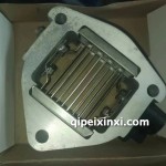 雷諾進(jìn)氣預(yù)熱