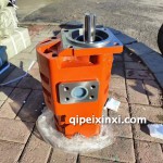 除雪車雙聯(lián)齒輪泵