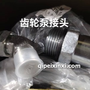 齿轮泵接头