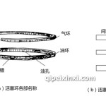 宝马释放清洗活塞环