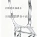 J6P500右大灯铝支架2803282-91W