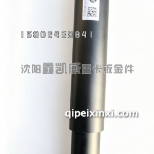 龙V前桥减震器2905010-DP100 龙V前桥减震器2905010-DP100