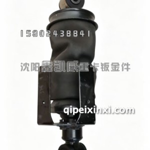 JH6后气囊/带支架5001315-1301B-C00