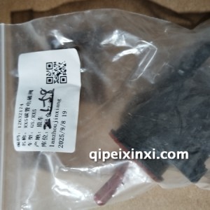 RX5碳管电磁阀