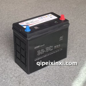 骆驼N45经典版免维护蓄电池12V45Ah