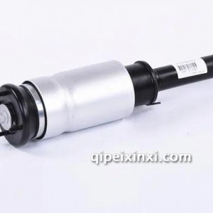 L405 减震器总成 L405 减震器总成