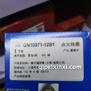 点火线圈 进口