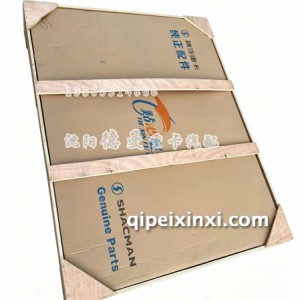 德龙X6000右车门壳总成 德龙X6000右车门壳总成
